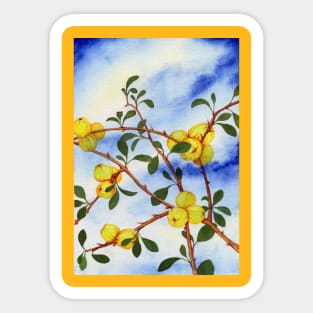 QUINCE BUSH FRUIT NATURE LEAES BERRIES YELLOW Sticker